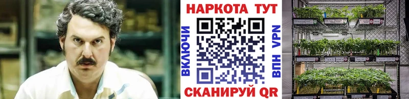 Купить закладку Бошки Шишки  Меф  Героин  Гашиш  АМФ  Новохопёрск
