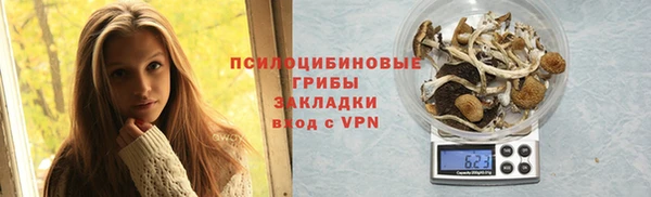 хмурый Елизово