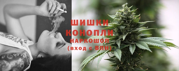 хмурый Елизово