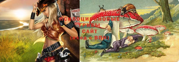 хмурый Елизово