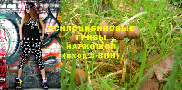 синтетический гашиш Ельня