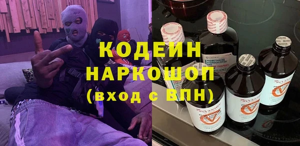 хмурый Елизово