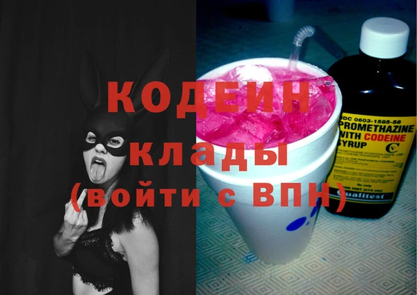 хмурый Елизово